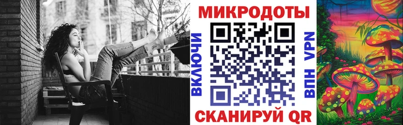 Псилоцибиновые грибы Psilocybe  Искитим 