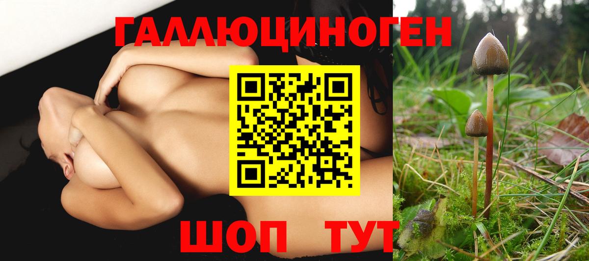 Галлюциногенные грибы прущие грибы  Вход с VPN  Псилоцибиновые грибы MAGIC MUSHROOMS  Искитим 