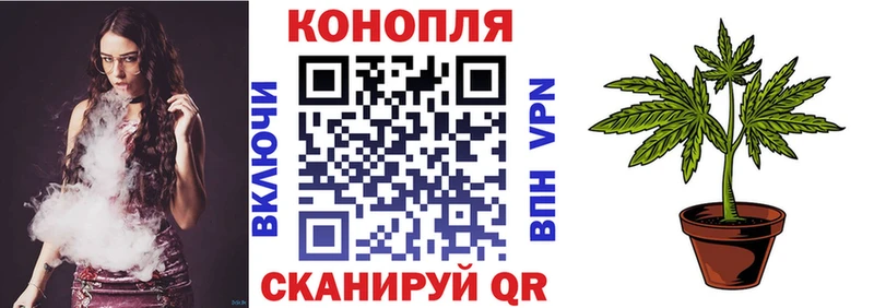 Бошки марихуана марихуана  цена   Искитим 